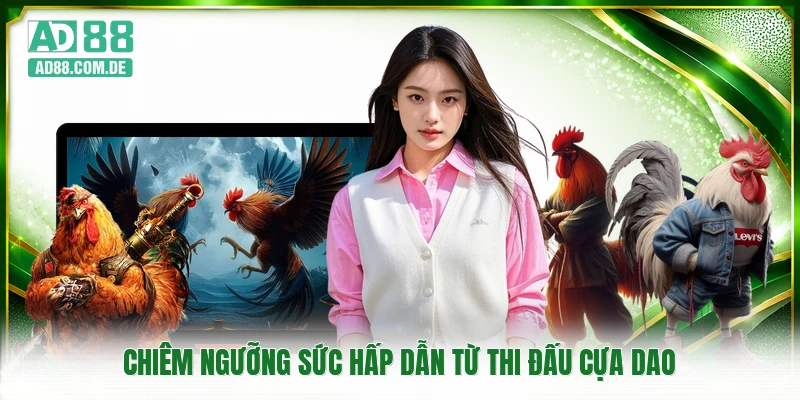 Chiêm ngưỡng sức hấp dẫn từ thi đấu cựa dao