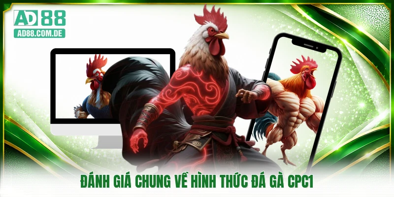 Đánh giá chung về hình thức đá gà CPC1
